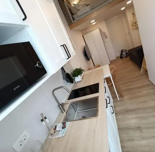 One-bedroom דירה לובליאנה
